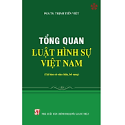 Tổng quan Luật Hình sự Việt Nam