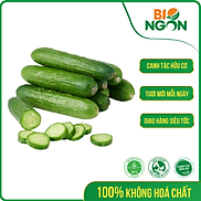 Chỉ Giao HCM - Dưa Leo Baby hộp 500g