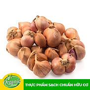 Chỉ Giao HCM - Hành Tím Nguyên Vỏ Hữu Cơ Organicfood - 200g