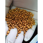 100 g hoặc 200 g Phân vàng tan chậm vàng Osmocote Nhập khẩu từ Thái Lan
