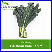 Hạt Giống Cây Cải Xoăn Kale Laci Ý 100H