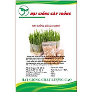 Hạt Giống Mầm Lúa Mạch  Lúa Mì CT234 - Gói 100 gram