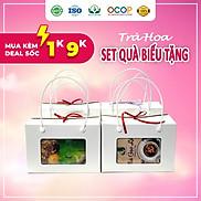 Set quà sức khỏe biếu tặng 8 3 20 10 20 11 14 2 ngày lễ tết Siêu thị thiên