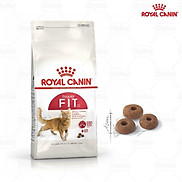royal canin fit32 hạt cho mèo túi 2kg