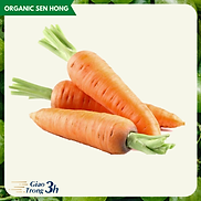 Cà rốt 1kg - Giao nhanh 3h