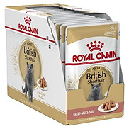 pate súp dành riêng cho mèo anh lông ngắn British shorthair royal canin