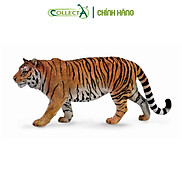 Mô hình thu nhỏ Hổ - Siberian Tiger, hiệu CollectA, mã HS 9651200