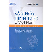 Văn Hóa Tính Dục Ở Việt Nam Thế Kỉ X - XIX - Phạm Văn Hưng - Tái bản - bìa