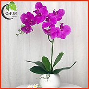 Chậu hoa giả lan hồ điệp để bàn cao 53cm trang trí nhà cửa, bàn làm việc