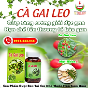 Cà gai leo - Năng Động - giải độc gan, giảm mề day, vàng da