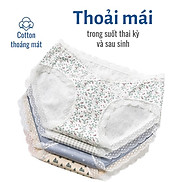 Quần lót bầu cạp chéo imom care, vải cotton cao cấp, kháng khuẩn, khử mùi