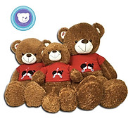 Gấu bông teddy - Teddy Kiss Me cao cấp - Gấu Bông Hana