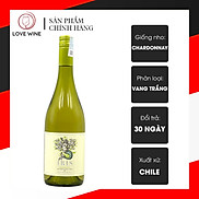 Rượu vang trắng Chi Lê Iris Chardonnay 2021