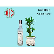 Chính hãng Rượu Shochu Gạo Kome Kuro 29 chai 300ml