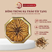 Đông trùng hạ thảo hoang dã Na Khúc Tây Tạng Song An Food 10gr