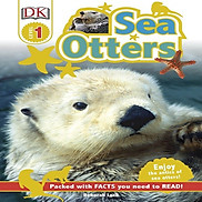 Sea Otters