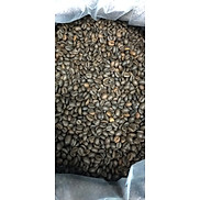 Cà Phê Robusta Hạt Rang Mộc S18 Natural Giá Tốt - ZeMor Coffee