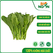 Chỉ Giao HCM - Cải Ngồng Baby Hữu Cơ Gói 250g