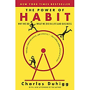 The Power of Habit Why We Do What We Do in Life and Business