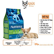 Thức Ăn Cho Chó Con Nutrience Original Bao 2,5kg Phát Triển Trí Não