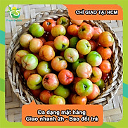 Chỉ giao HCM Sơ ri - hộp 500gr