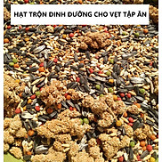 500GRAM HẠT TRỘN HOÀN CHỈNH ĐẦY ĐỦ DINH DƯỠNG GIAI ĐOẠN TẬP ĂN CHO LOVEBIRD