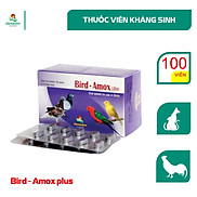 Bird Amox plus Trị nhiễm trùng da, mô mềm, nhiễm khuẩn đường tiết niệu