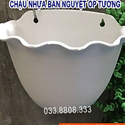 10 Chậu Nhựa Trồng Cây Bán Nguyệt Treo Tường - Chậu Bền Đẹp