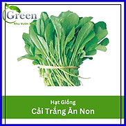 Hạt Giống Rau Cải Trắng Ăn Non 30 Gam