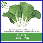 Hạt Giống Cải Bẹ Trắng - Gói 20gam