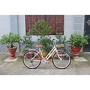 Xe Đạp Đường Phố SMNBike Trendy - 6 tốc độ - Bánh 26 inch Cao từ 1m55 -