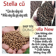 cám Stellaa S5 NEW 40% Đạm Nổi Cho Cá Koi thumbnail