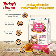 Thức ăn khô cho mèo Today s dinner xuất xứ Hàn Quốc gói 5kg thumbnail
