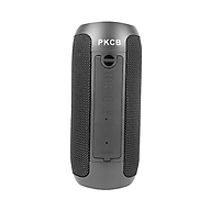 Loa Bluetooth speaker không dây PKCB250 - Hàng Chính Hãng