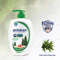Nước Rửa Tay Bảo Vệ Da Kháng Khuẩn Antabax Pure Pine Thông Xanh 500ml thumbnail