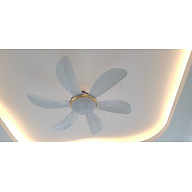 Quạt trần 6 cánh cong, điều khiển từ xa 6 số, lõi đồng 100%, động cơ tiết kiệm điện, quạt rất mát và chạy êm, hàng chính hãng