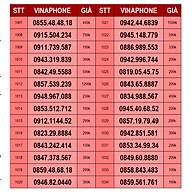 Sim 4G Vinaphone Số Đẹp phong thủy STT 1007-1090 - Hàng chính hãng thumbnail