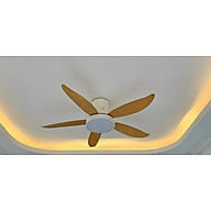 Quạt cho trần thấp, có đèn trang trí, rất mát, có đk từ xa, động cơ DC tiết kiệm điện giúp quạt êm hơn và mát hơn