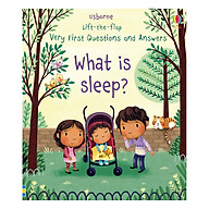 Usborne Lift-The-Flap Very First Questions And Answers What Is Sleep thumbnail