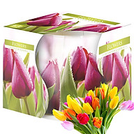 Ly nến thơm tinh dầu Bispol Flowers 100g QT024786 - hương hoa tulips thumbnail