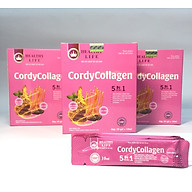 Combo 3 hộp Đông trùng hạ thảo CordyCollagen chính hãng Healthy Life thumbnail