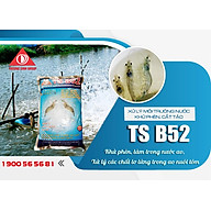 TS - B 52 , Khử phèn, cắt tảo thumbnail