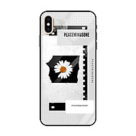 Ốp lưng kính cường lực cho iPhone Xs Max Nền Hoa Cúc Nền Giấy (5) - Hàng Chính Hãng