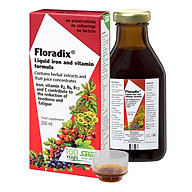 Thực phẩm bảo vệ sức khỏe Floradix Liquid iron and vitamin formula Bổ sung thumbnail