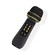Micro Karaoke Bluetooth Không Dây PKCB312 - Hàng Chính Hãng thumbnail