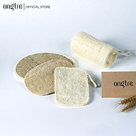 Xơ Mướp tự nhiên ONGTRE dùng tắm tẩy da chết, mat xa da, Sỉ lẻ