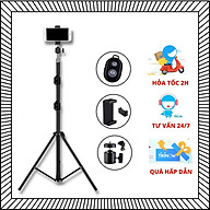 Cây Livestream Selfiecom - Hỗ trợ chụp ảnh, quay video, chơi tiktok, gắn đèn livestream - Tặng kèm remote bluetooth chụp ảnh- Hàng chính hãng