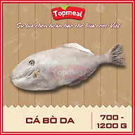 HCM - Cá bò da (700 - 1000 g) - [Giao nhanh TPHCM] thumbnail