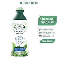 Dầu Gội Làm Sạch Gàu Từ Tinh Dầu Tràm Trà L angelica Shampoo Tea Tree Oil Anti-dandruff 250ml thumbnail