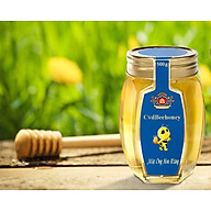 Mật Ong Hoa Rừng 500g CvdBeehoney Loại Đặc Biệt - Forest Flower Honey thumbnail
